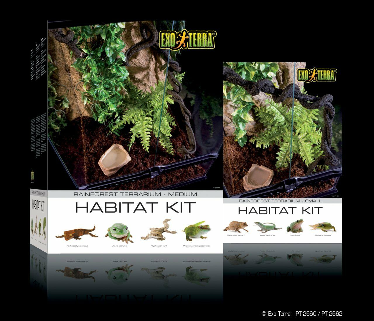 EXO TERRA PT2662 Habitat Kit Yağmur Ormanı Teraryum Set M