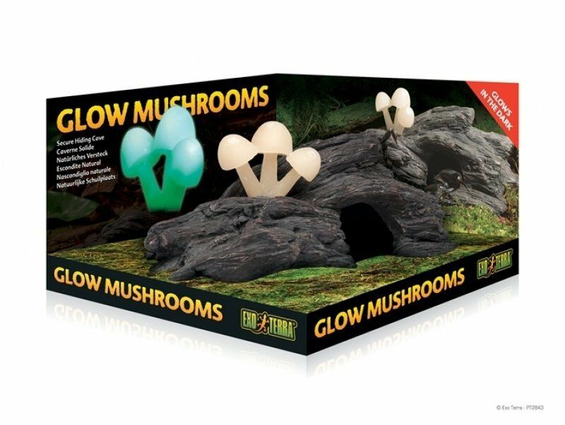 EXO TERRA Glow Mushrooms PT2843