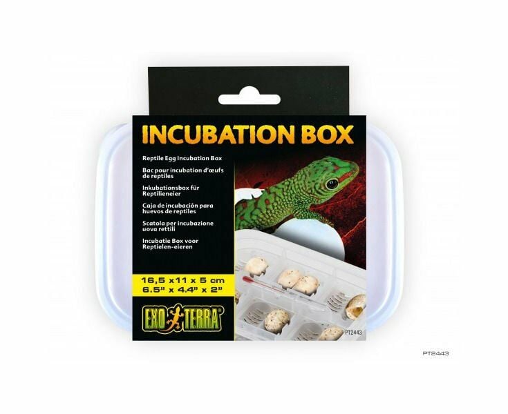EXO TERRA PT2443 Incubation Box