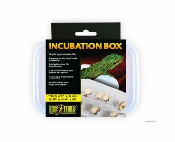 EXO TERRA PT2443 Incubation Box