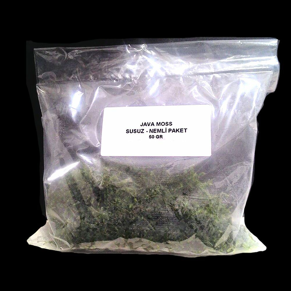 Java Moss (Vesiculario Dubyana) 50 GR