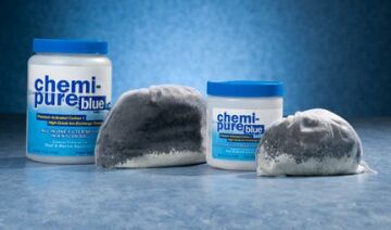 Boyd Enterprises Chemi Pure Blue 312 Gr