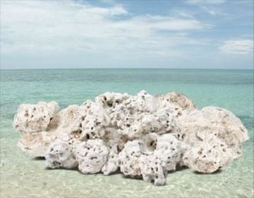 NATURES OCEAN Doğal Resif Kayası 18,14kg