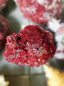 Kırmızı Mercan Akvaryum Dekoru 1 Kg