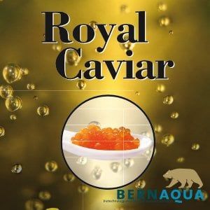 BERN AQUA Royal Caviar 50 gr 100-200 Micron