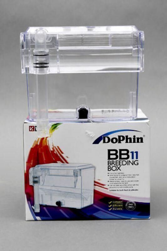 DOPHiN BB11 Breeding Box Yavruluk