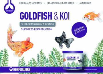 REEFLOWERS Goldfish&Koi Kova 4456 GR