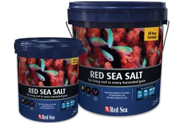 RED SEA Salt Okyanus Tuzu Kova 7 KG - 210 LiTRE