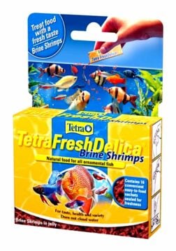 TETRA Fresh Delica Brine Shrimps Ödül Yemi 48 GR