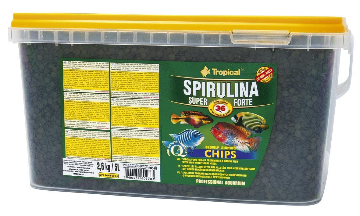 TROPiCAL Spirulina Super Forte Chips 1000 GR