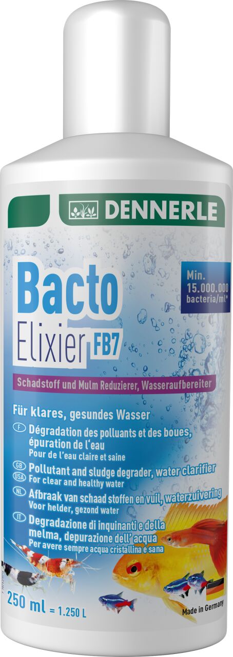 Dennerle Bacto Elixier FB7 250 ML Bakteri Kültürü