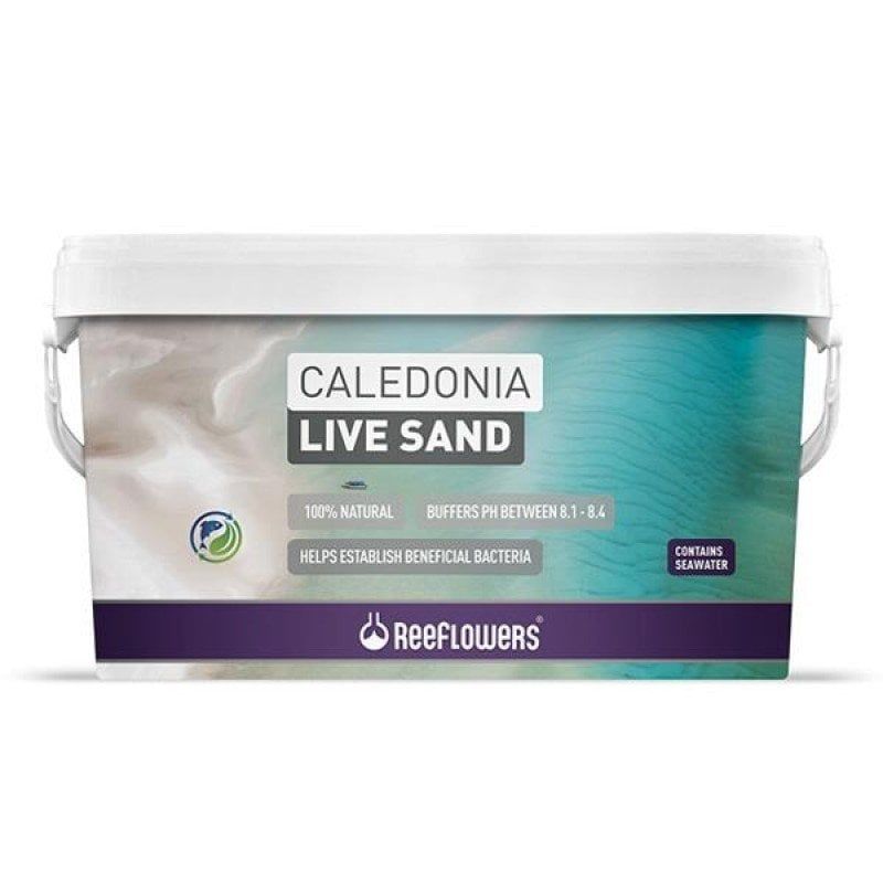 REEFLOWERS Caledonia Live Sand 18 KG WHITE