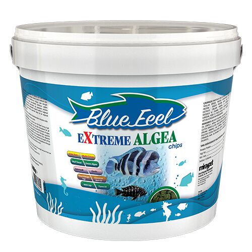 BLUE FEEL Extreme Algae Chips Kova 2,4 KG