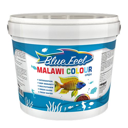 BLUE FEEL Malawi Colour Chips Kova 3 KG