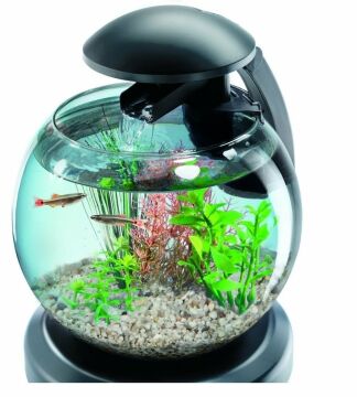 TETRA Cascade Globe Beta Fanusu 6,8 L