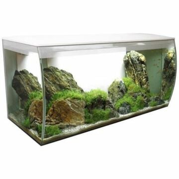 FLUVAL Flex Akvaryum 123 LT Beyaz