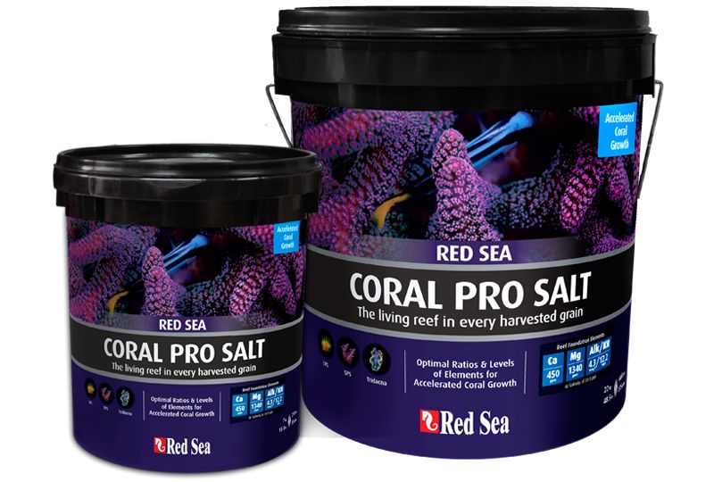 RED SEA Coral Pro Mercan Tuzu Kovadan Bölme 10 KG