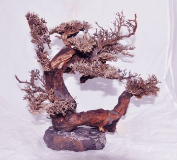 Bonsai Driftwood Doğal Akvaryum Dekoru