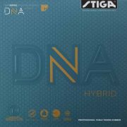 DNA HYBRID H