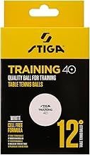 TRAINING  40+ Antr.Topu 12'lı kutu