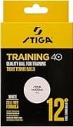 TRAINING  40+ Antr.Topu 12'lı kutu