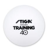 TRAINING  40+ Antr.Topu 12'lı kutu