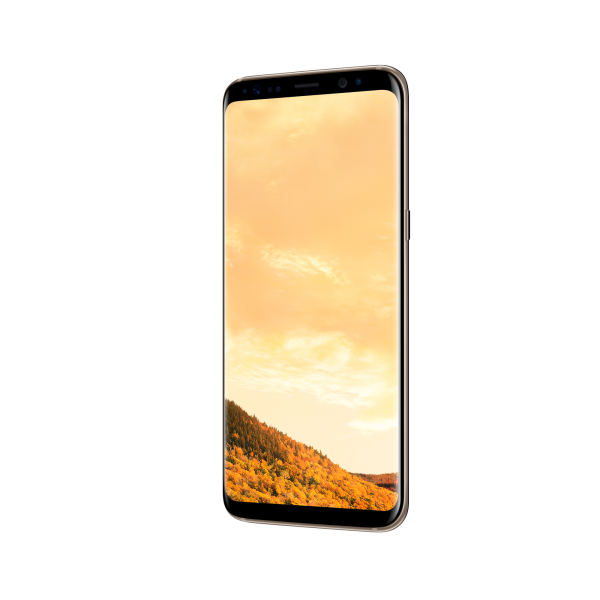 Samsung Galaxy S8 Plus Gold