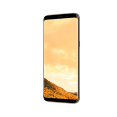 Samsung Galaxy S8 Plus Gold