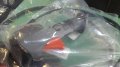 kabze ve Gaz teli komple 253 R 553 RS