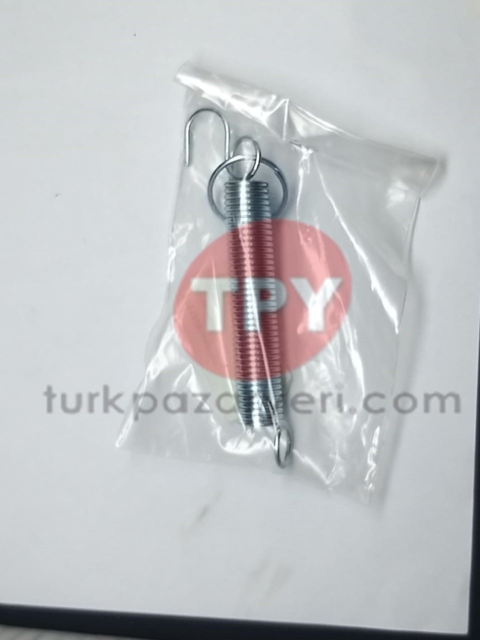 Gergi Yayı Büyük