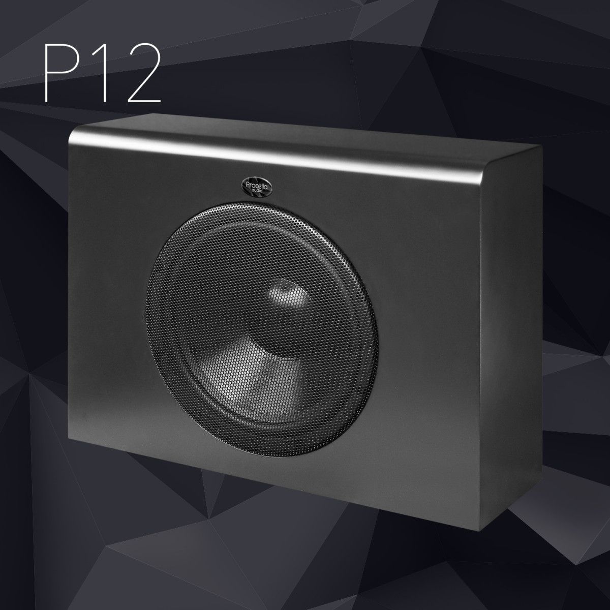 Procella Audio P12-AMP Aktif DSP subwoofer