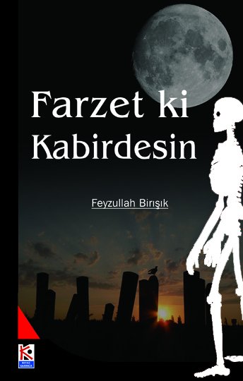 Farzet ki Kabirdesin