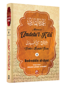 Umdetu'l-Kârî (6. cilt)