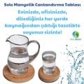 Sole Sağlık Light Tanışma Paketi (1 Adet Büyük Canlandırma Tablası, 2 Adet Alkamine Light Ph Damla)