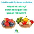 Sole Sağlık Mini Light Su Canlandırma Seti (1 Adet Mini Tabla, 1 Adet Alkamine Light Ph Damla)