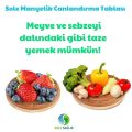 Sole Sağlık Maxi Light Su Canlandırma Seti (1 Büyük Tabla, 1 Mini Tabla, 2 Alkamine Light Ph Damla)