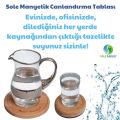 Sole Sağlık Çözüm Paketi 4 (Manyetik Dik Duruş Kamburluk Bandı 1 Adet, Tabla 1 Adt, Alkamine 2 Adt)