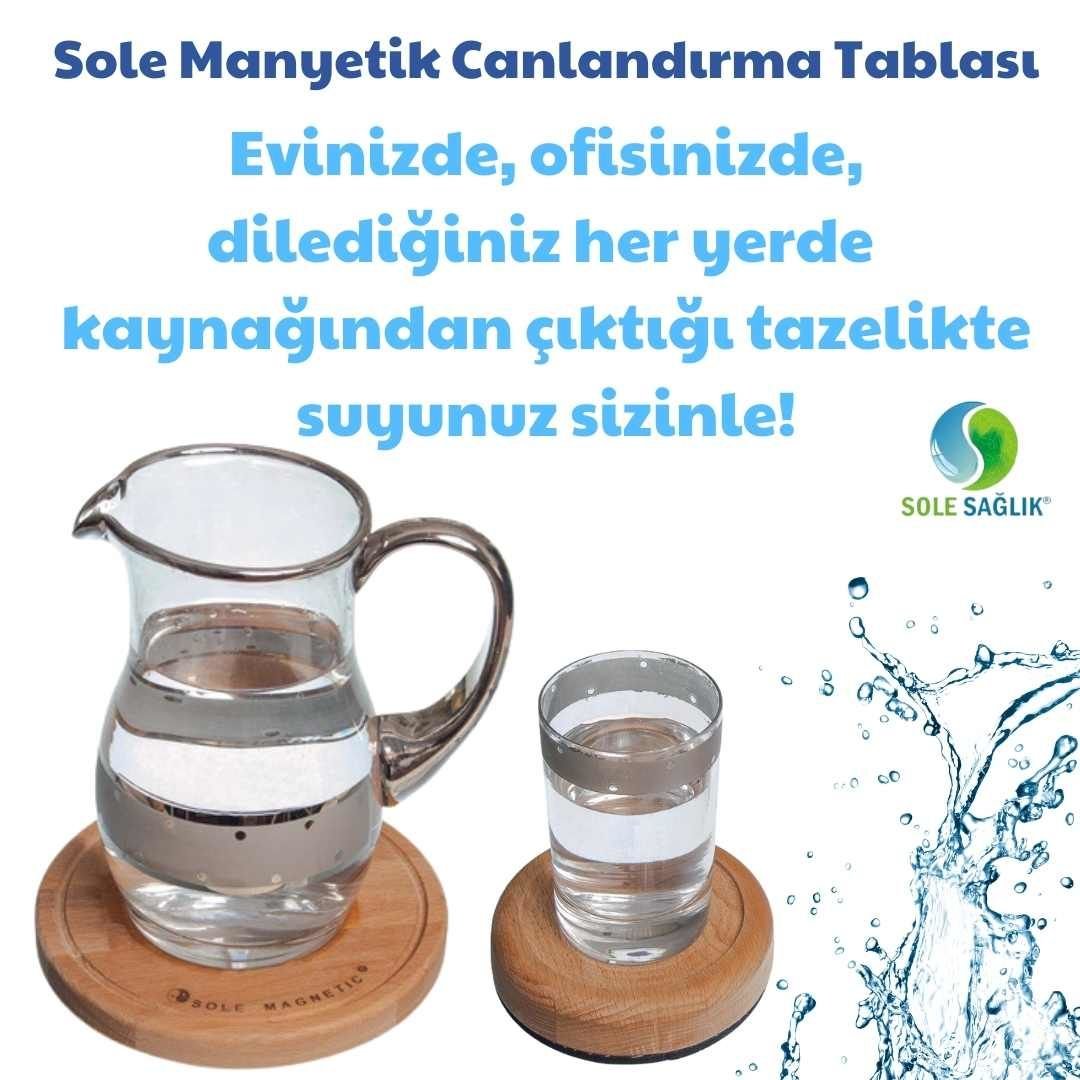 Sole Sağlık Çözüm Paketi 6 (Manyetik Omuz Bandı 1 Adet, Canlandırma Tablası 1 Adet, Alkamine 2 Adet)