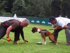 Kale K9 Harness Köpek Göğüs Tasması Siyah