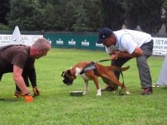 Kale K9 Harness Köpek Göğüs Tasması Siyah