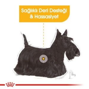 Royal Canin Mini Dermacomfort Deri Hassasiyeti Için Köpek Mamasi 3 Kg