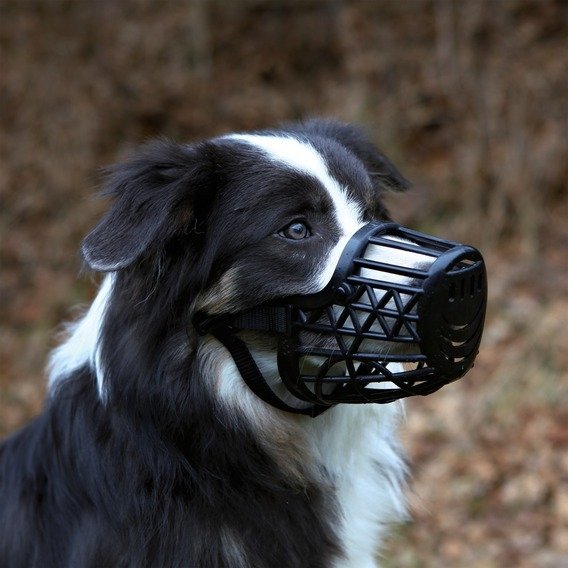 Trixie Plastik Köpek Ağızlığı 35cm L-XL