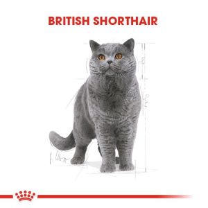 Royal Canin British Shorthair Adult Pouch Yetişkin Kedi Konservesi 85 Gr