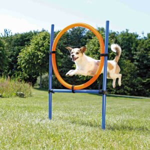 Trixie Köpek Agility Eğitim Çemberi 115×3cm 65cm