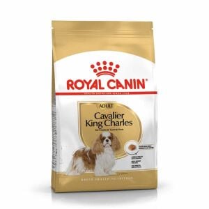 Royal Canin Cavalier King Charles Yetişkin Köpek Mamasi 1,5 Kg