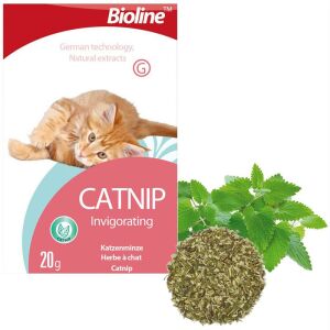 Bioline Catnip Doğal Kedi Nanesi 20 gr