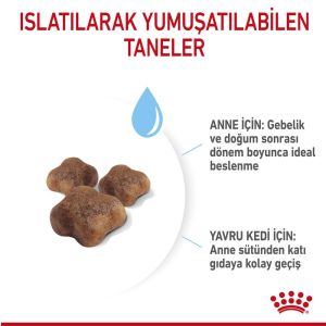 Royal Canin Mother&Baby Cat 34 Anne Ve Yavru Kedi Maması 2 Kg