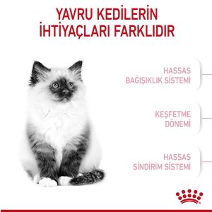 Royal Canin Kitten Yavru Kedi Mamasi 4 Kg