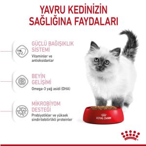 Royal Canin Kitten Yavru Kedi Maması 10 Kg