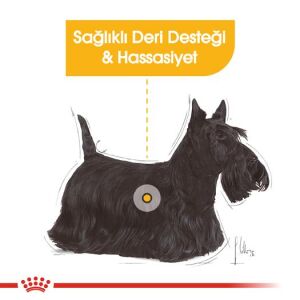 Royal Canin CCN Dermacomfort Deri Hassasiyetli Yetişkin Köpek Konservesi 85 Gr